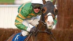 Punchestown opens season with two day meeting this week