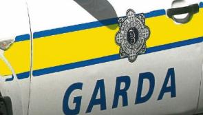€12k of drugs found in Newbridge house raid
