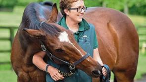 Legendary racehorse Moscow Flyer passes away at Kildare's National Stud