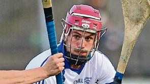 Kildare's Keegan and Doran named on Christy Ring Champions 15