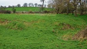 Department objects to Kildare development