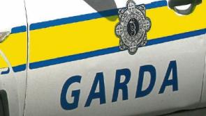 Kildare is short 268 Garda personnel - claim