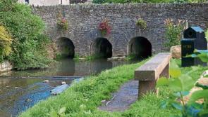County Kildare has lowest garda numbers