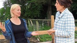 Musician's Kildare horse rescue centre on tonight's Ear To The Ground