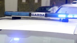 Shots fired in Castledermot in the early hours of this morning