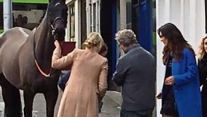 Naas Main Street stops for the horse and the model