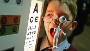 Kildare's mini scientists in final