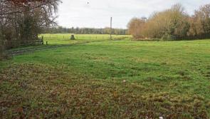 Sallins recreation land secured for local community
