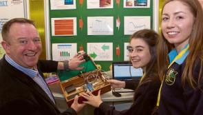 15 Kildare schools compete at this year's Young Scientist contest