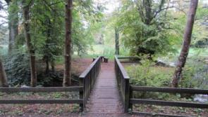 Donadea car-parking fee is dangerously high