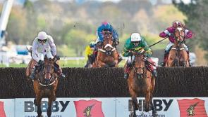 New stand planned for Punchestown Racecourse