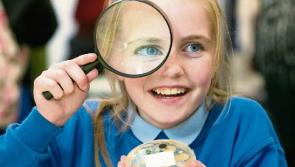 Nine Kildare  primary schools in science fair