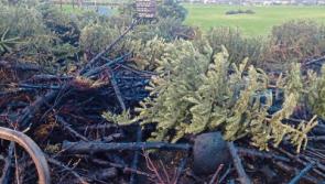 CCTV shows Christmas tree fires in Naas were deliberate