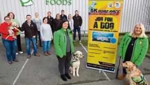Jog for a Dog returns to Kildare's Castletown House