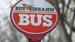 Greens call for free bus fares for all essential workers 
