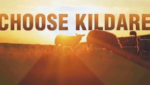 VIDEO: Watch sun-dappled sheep frolicking in sexy new Kildare marketing video