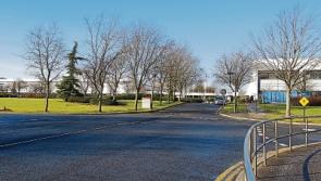 Training board vows to help Leixlip HP workers