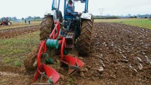 Two Mile House to host Kildare ploughing championships this Saturday