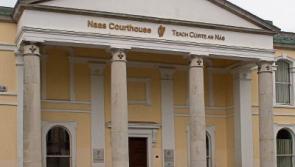 Kildare man fined for having stun gun