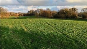 100 acres of land at Mullaboden, Naas, up for auction