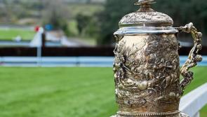 Huge increase in Punchestown Gold Cup sponsorship