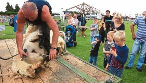 Future of Kildare County Show at risk