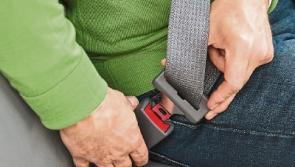 WATCH: RSA issues seatbelt warning to Kildare motorists after startling survey