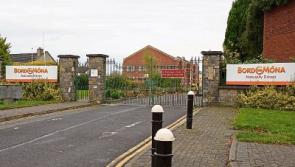 An Taisce objects to Bord na Mona horticulture facility plans at Kildare bog