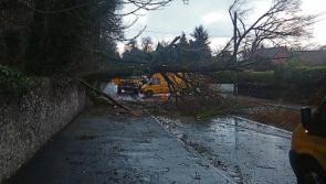 BREAKING: Sallins Road in Naas is closed