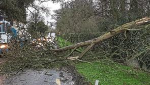 Kildare recovering from impact of Storm Doris