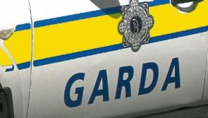 Kildare gardai investigate spate of Rathangan house break-ins