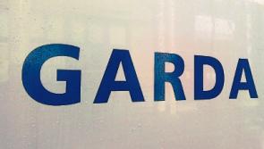 New Garda Youth Diversion Project to be launched in Naas today