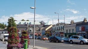 Clean up dog dirt in Naas