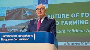 Major Brexit meeting taking place in Kildare today