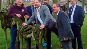 Club Kildare launch Pride In Kildare Race for the Punchestown Festival