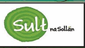 Language survey is underway in Naas and Sallins