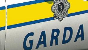 Shotgun stolen in house raid in Nurney