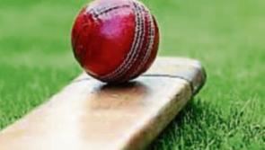 Anyone for cricket?