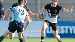 Newbridge College crash out of Junior Cup