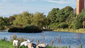 Call for outdoor board games for Naas lakes