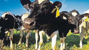 Kildare meeting for agri and equine industries