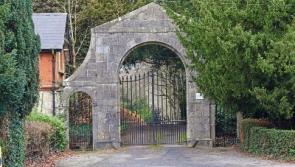 Little progress made on opening of new Naas public park