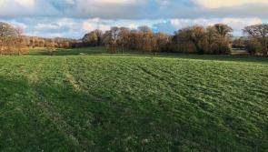Naas land sold for €1.2 million