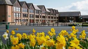 New stand for Punchestown Racecourse