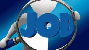 Kildare Local Enterprise Office helped deliver 115 new jobs