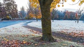Outdoor chess proposed for Naas