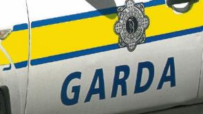 Gardai appeal for witnesses to fatal road accident near Dunboyne