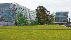 Serviced house sites being considered in Kildare for three rural locations