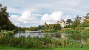 COMMENT: Naas lakes are an oasis of calm in a busy town