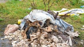 Kildare County Council rejects waste collection discount move